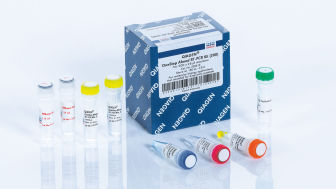 OneStep Ahead RT-PCR Kit (200)