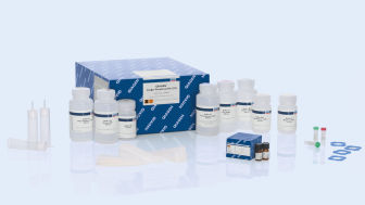 QIAGEN Large-Construct Kit (10)