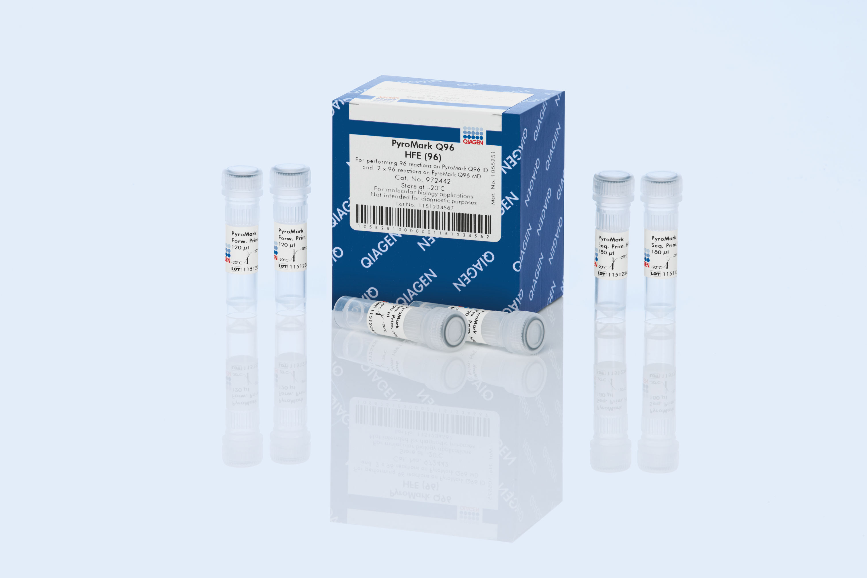 PyroMark Q96 SNP HFE (96)