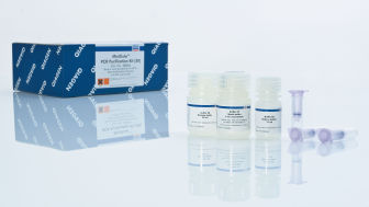 MinElute PCR Purification Kit (50)