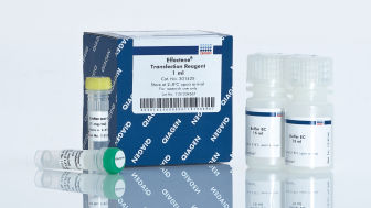 Effectene Transfection Reagent (1 ml)