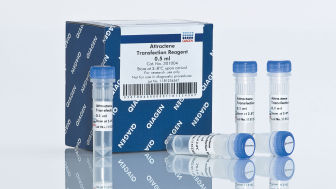 Attractene Transfection Reagent (1 ml)