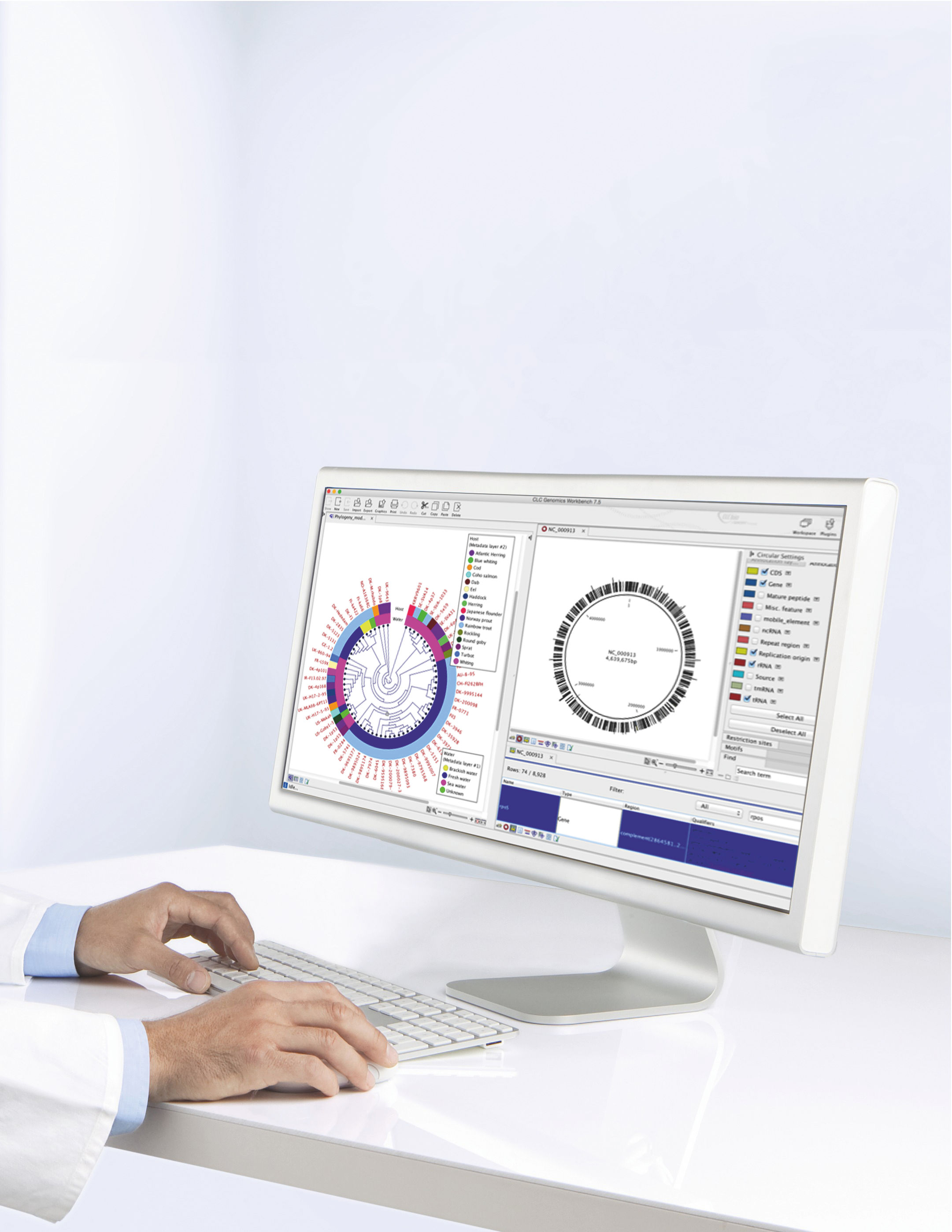 CLC Genomics WB, Desktop Plus