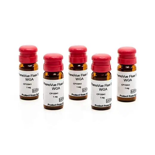 PHENOVUE FLUOR 594 - WGA