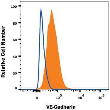 mVE-Cadherin MAb (Cl (25 ug)