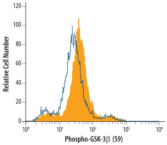 hPhos GSK-3b (S9) MA (25 ug)