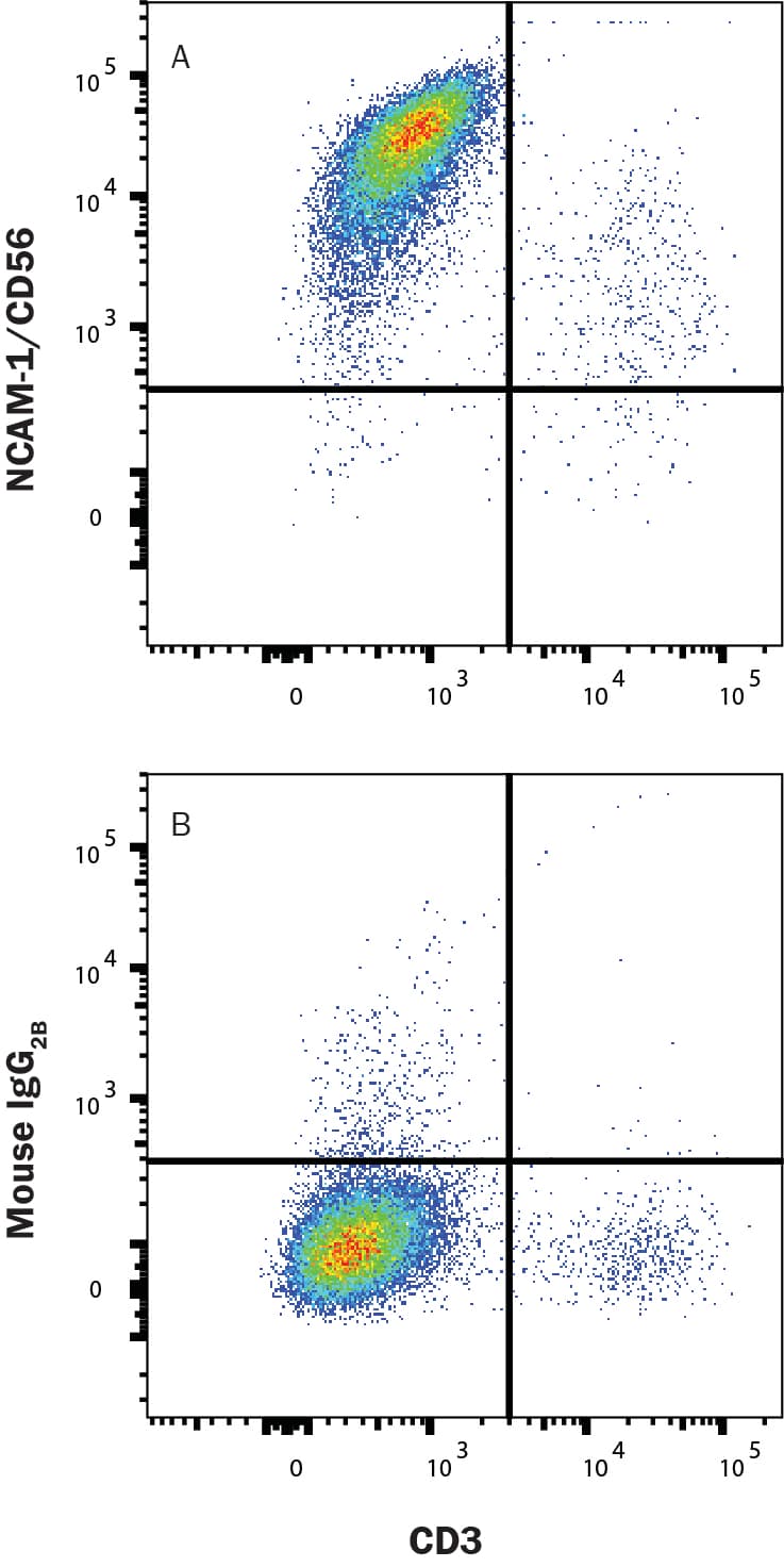 hNCAM-1 MAb (Cl 3010 (25 ug)