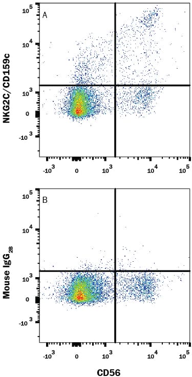 hNKG2C MAb (Cl 13452 (25 ug)