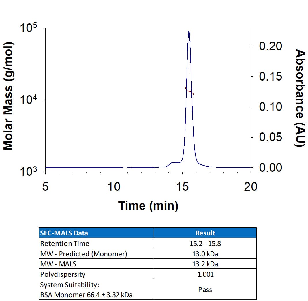 Recombinant Human IL-15 Protein, CF