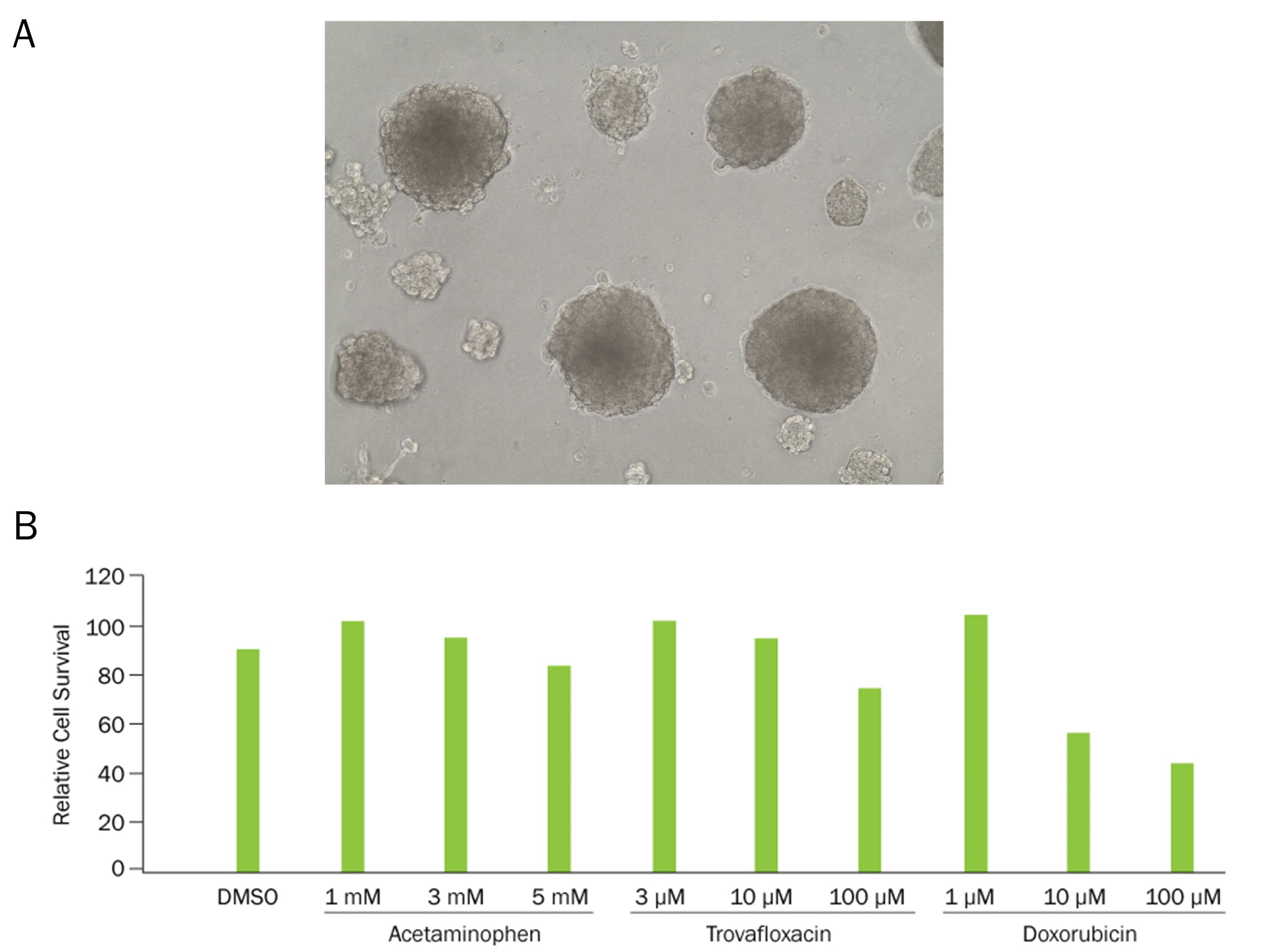 MTT Cell Prolif/Viab (2500 Tests)