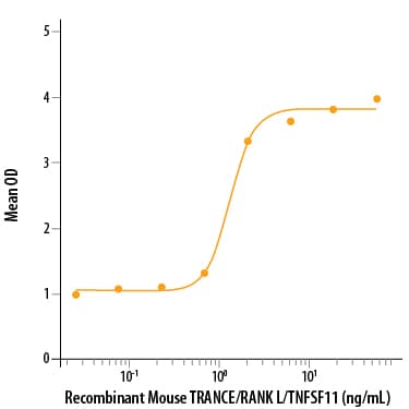 rmTRANCE/RANK L (E. (10 ug)