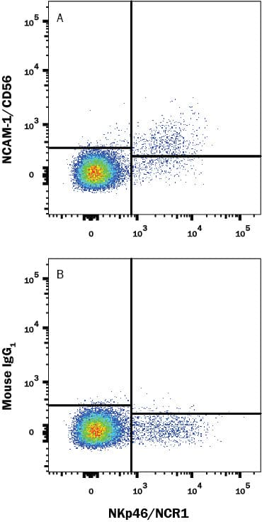 R&D Systems_Human NCAM-1/CD56 Antibody_优宁维(univ)商城