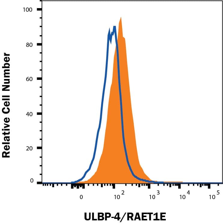 Human ULBP-4/RAET1E Antibody