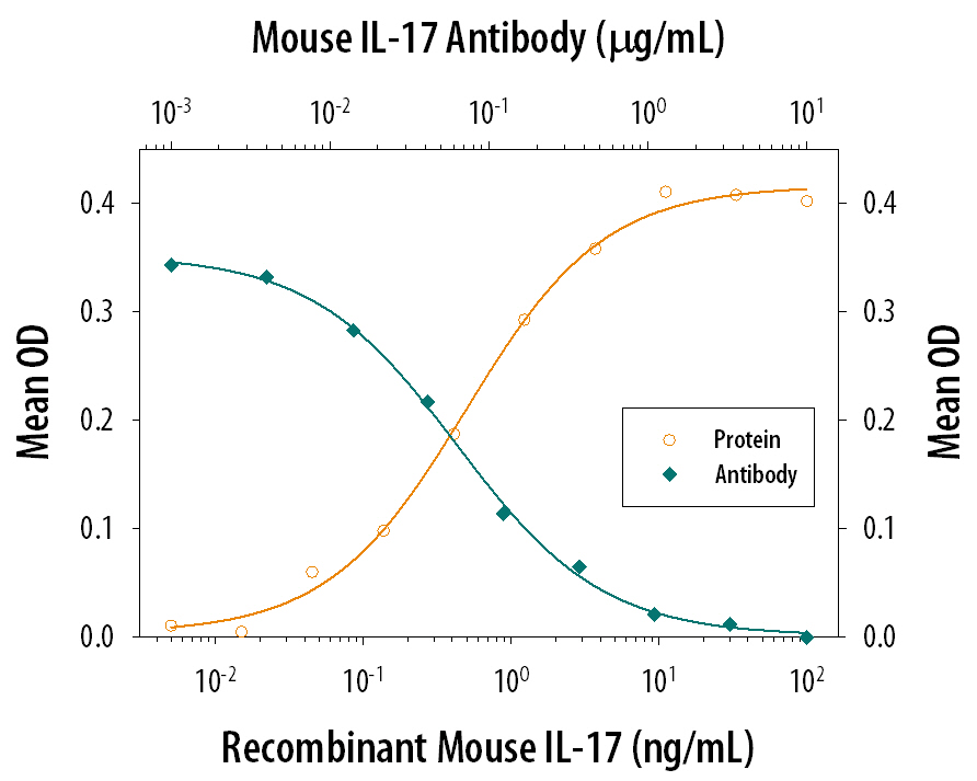 mIL-17 MAb (Cl 50104 (25 ug)