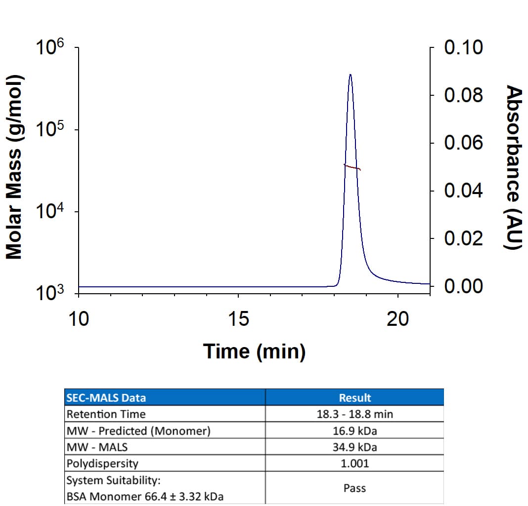 Recombinant Human IFN-gamma Protein