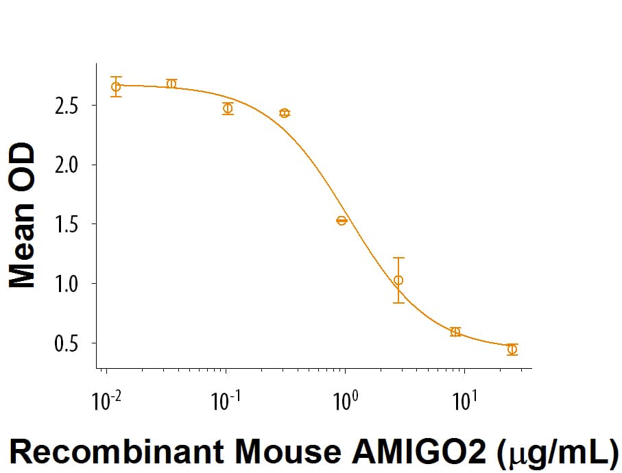 rmAMIGO2 Fc, CF (50 UG)