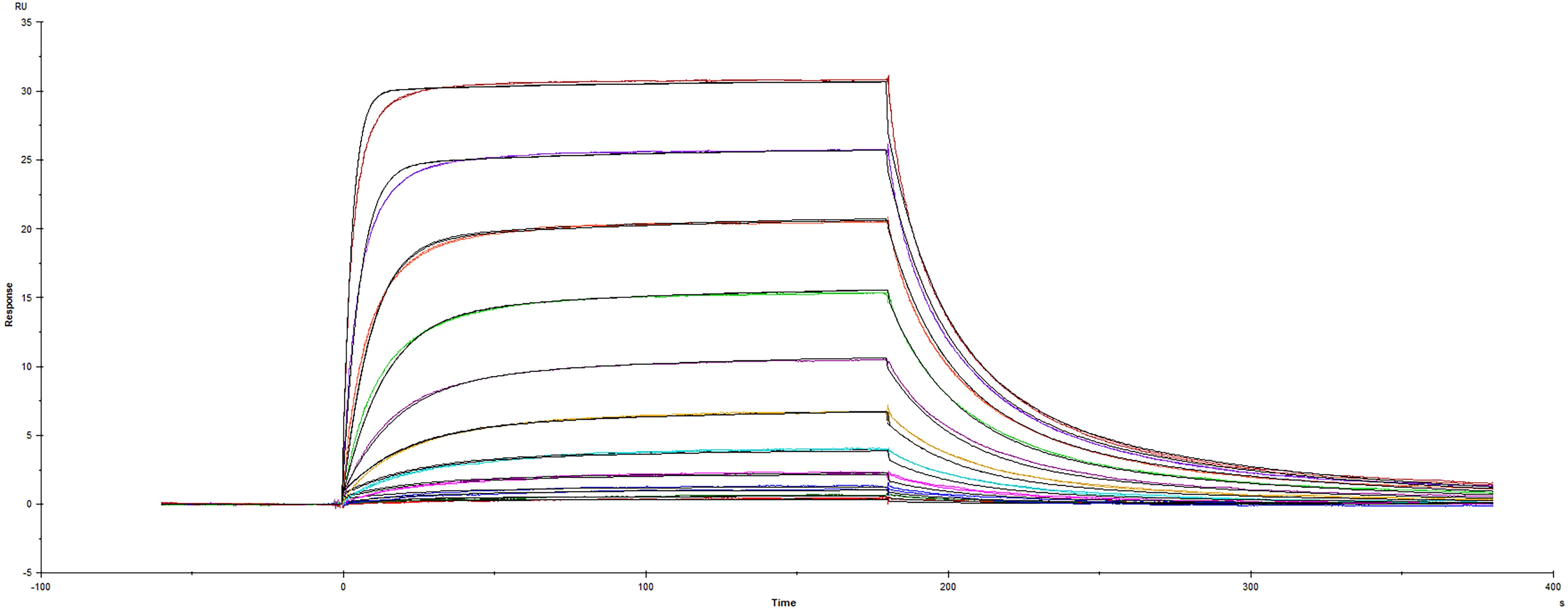 rhCD155/PVR Fc, CF (1 MG)