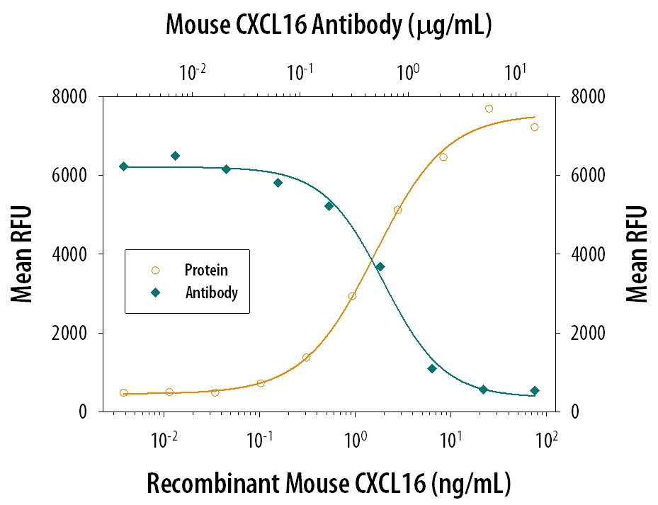 mCXCL16 MAb (Cl 1424 (100 ug)
