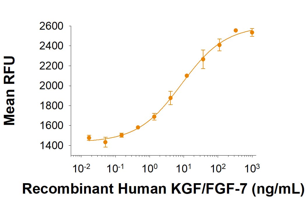 rhKGF/FGF-7 (1 MG)