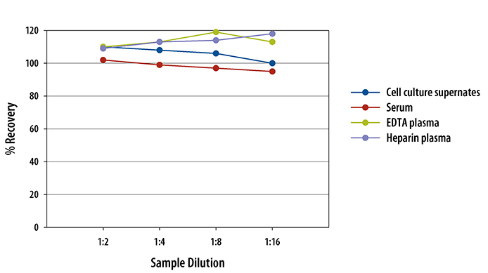 Mouse IL-17 Quantikine ELISA Kit                