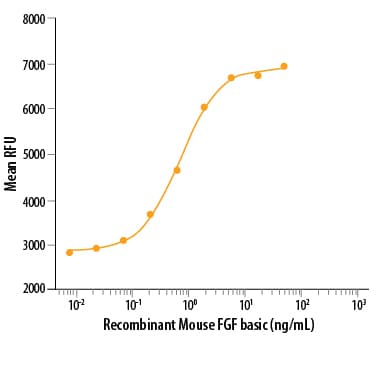 rmFGF basic/FGF2/bFG (25 ug)