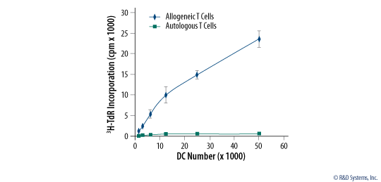 StemXVivo SF T Cell (250 mL)
