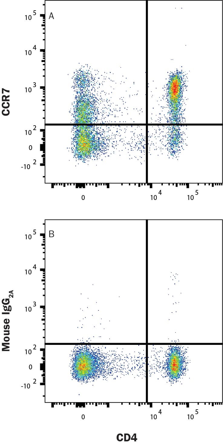 hCCR7 MAb (25 ug)