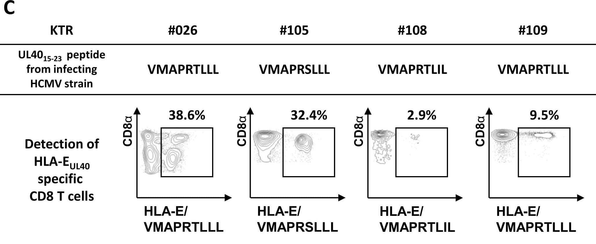 hCCR7 MAb (Cl 150503 (25 ug)
