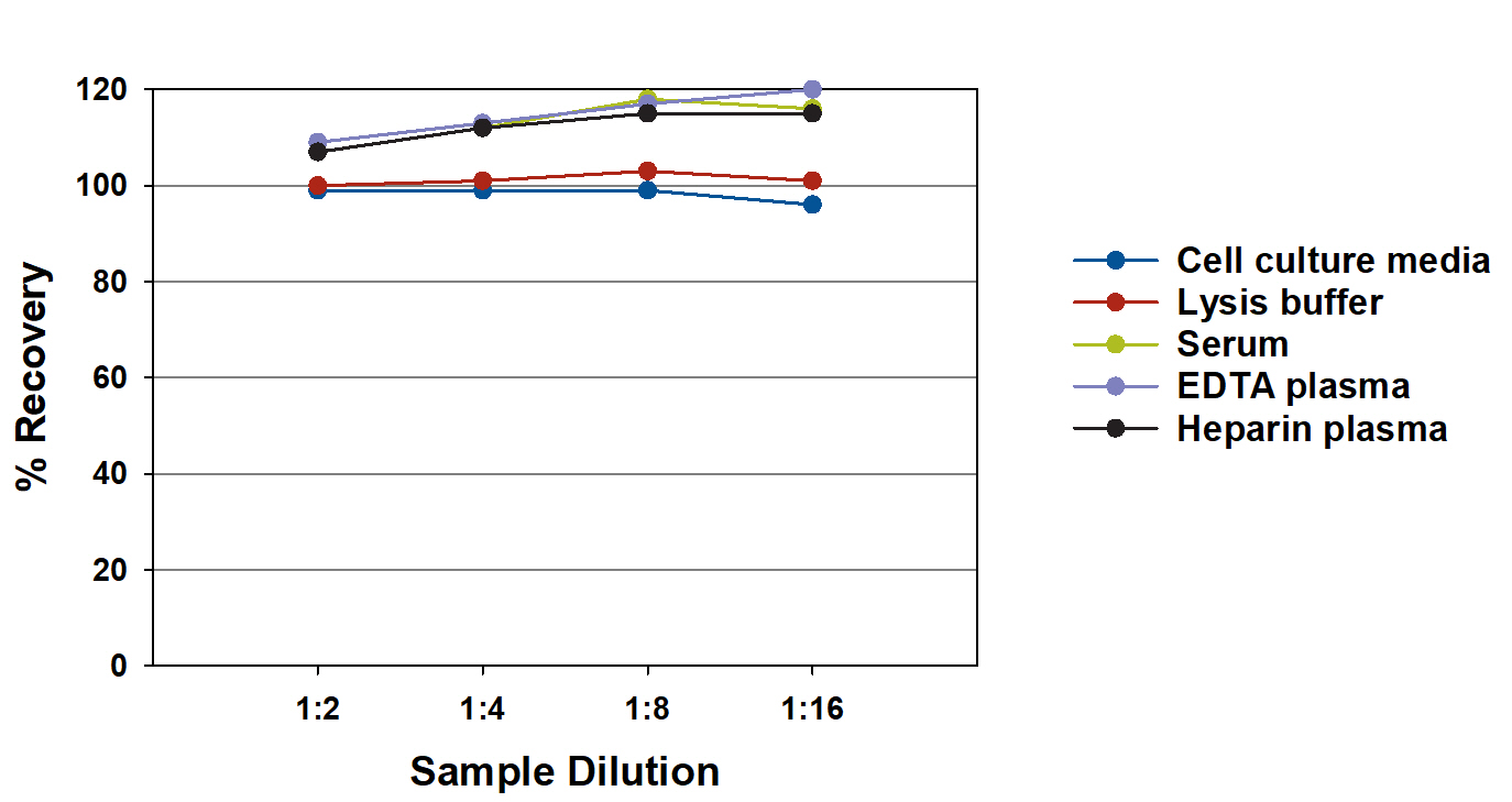 hGDNF Quantikine (1 Kit)