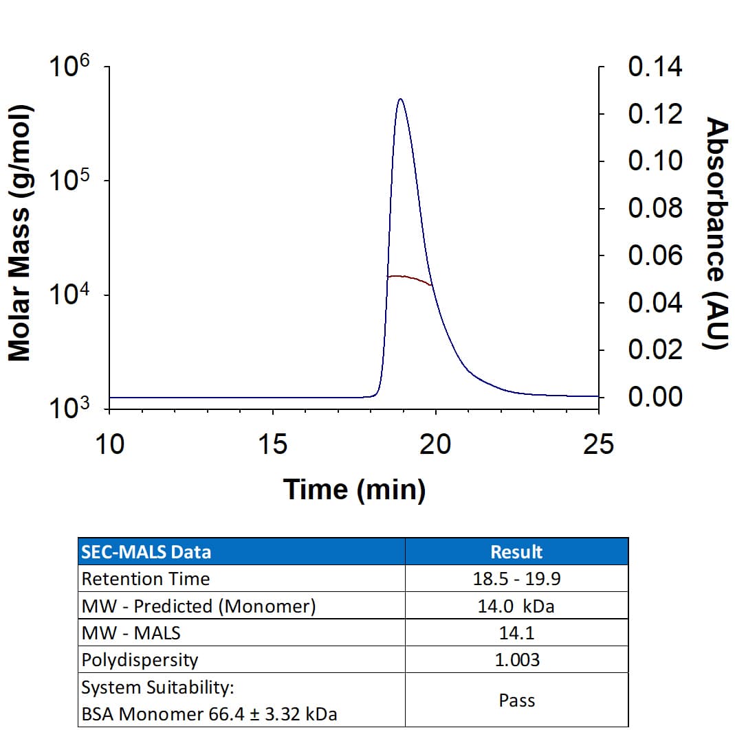 rhGM-CSF, CF (10 ug)