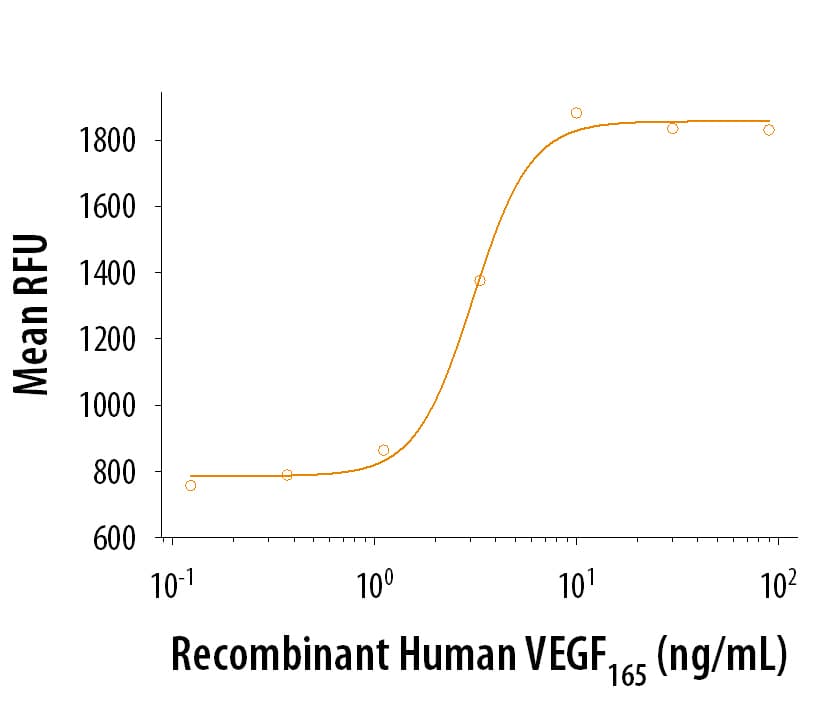 rhVEGF 165, CF (1 mg)