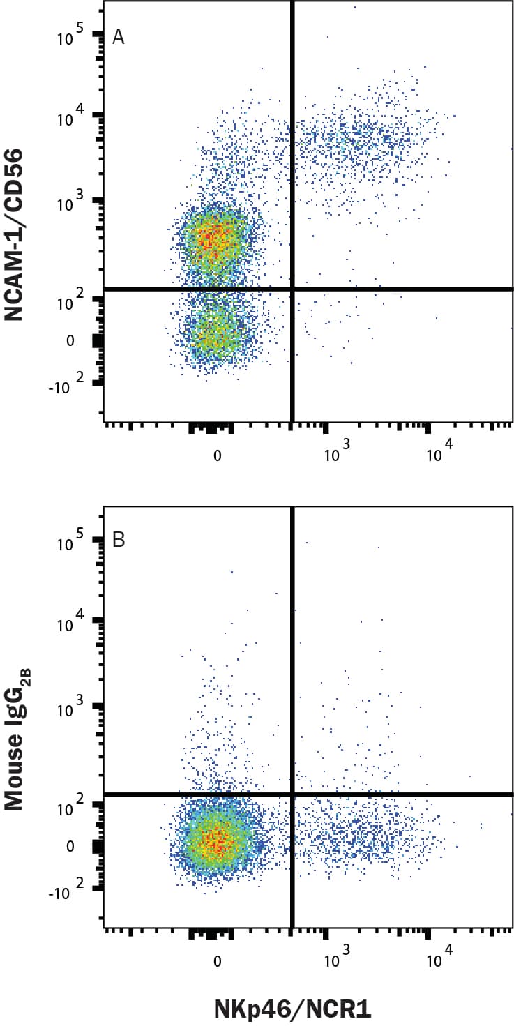 R&D Systems_Human NCAM-1/CD56 Antibody_优宁维(univ)商城