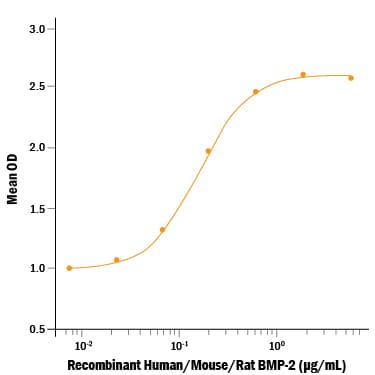rh/m/rBMP-2 (E. coli (10 ug)