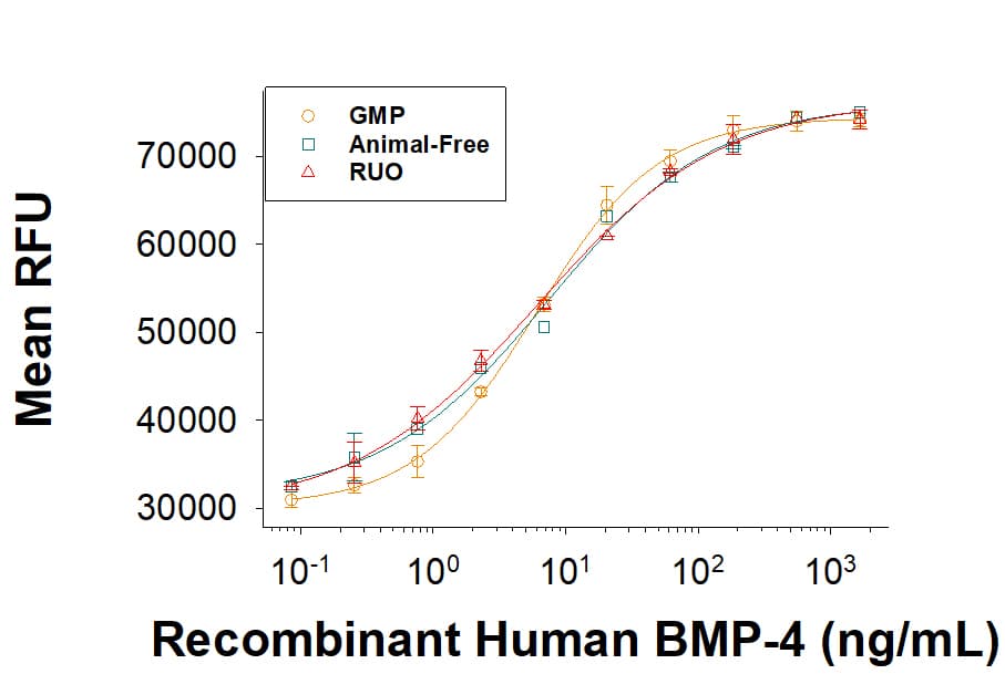 rhBMP-4 (E. coli), C (10 UG)