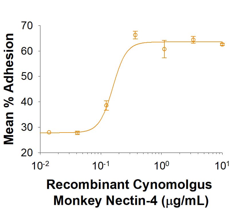 Recombinant Cynomolgus/Rhesus Macaque Nectin-4 Protein, CF (50 UG)