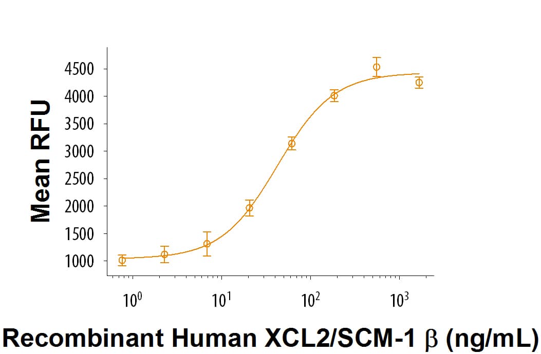 rhXCL2/SCM-1 beta (25 ug)