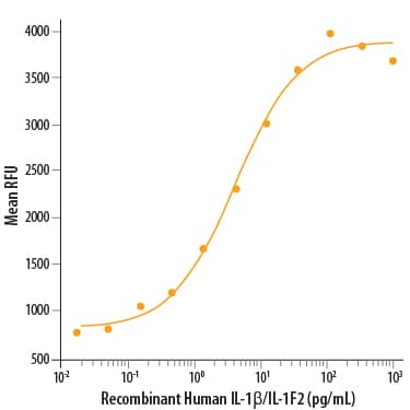 rhIL-1b (10 ug)