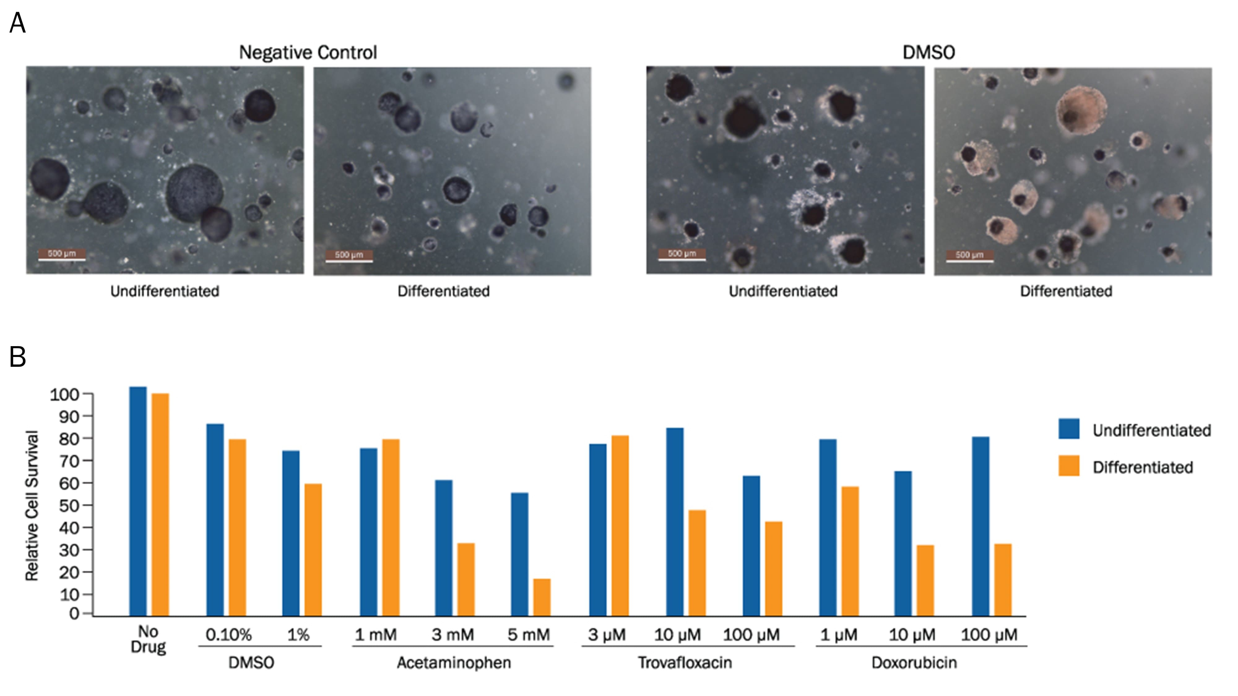 MTT Cell Prolif/Viab (2500 Tests)