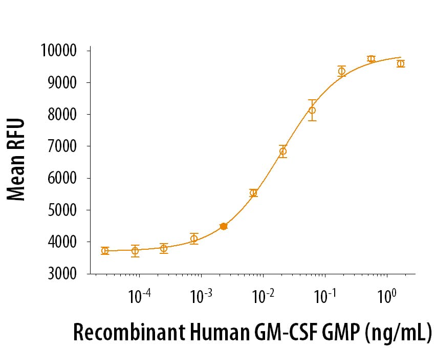 rhGM-CSF GMP, CF (10 ug)
