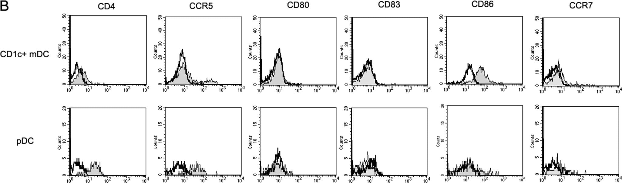 hCCR7 MAb (Cl 150503 (25 ug)