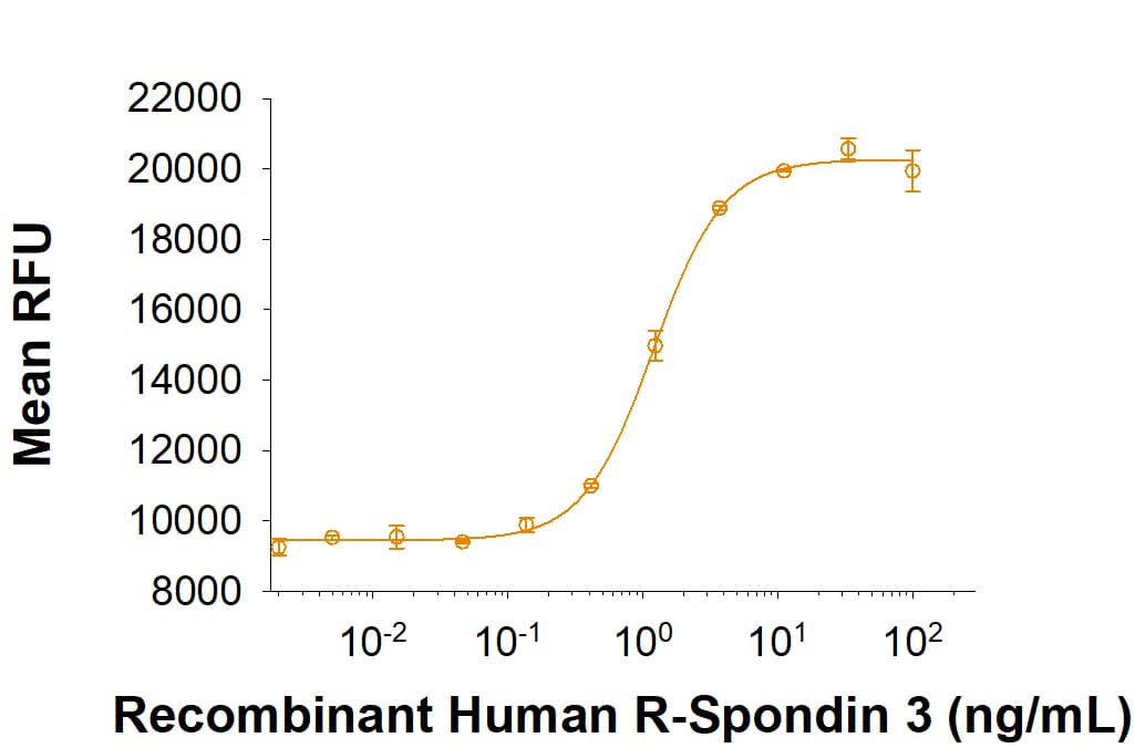 rhR-Spondin 3, CF (25 ug)