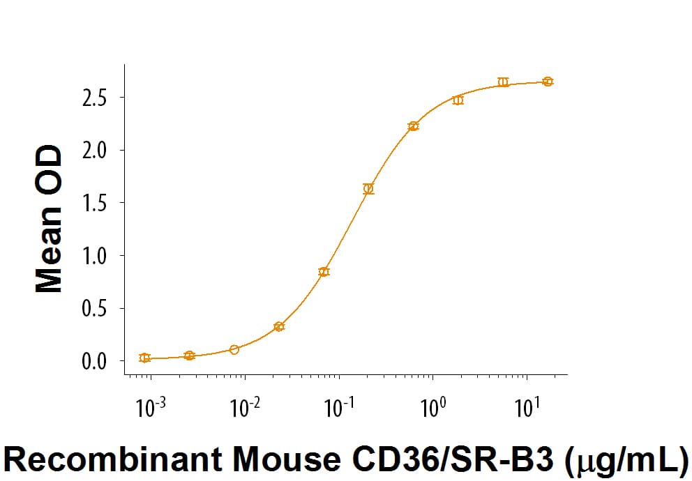 rmCD36/SR-B3 Fc, CF (50 ug)