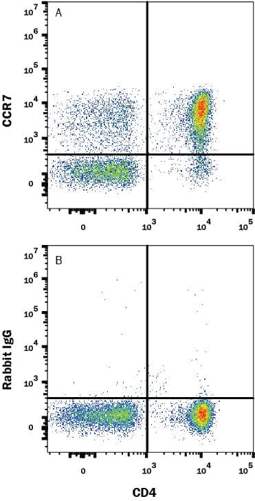 hCCR7 MAb (Cl 2600G) (25 UG)