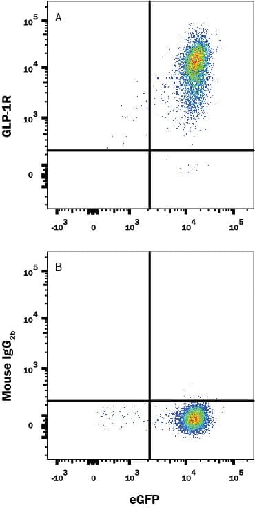 Human GLP-1R Antibody