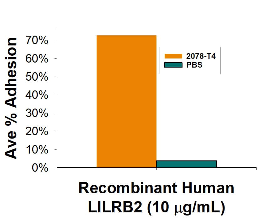 Recombinant Human LILRB2/CD85d/ILT4 Fc Chimera Protein, CF (50 ug)
