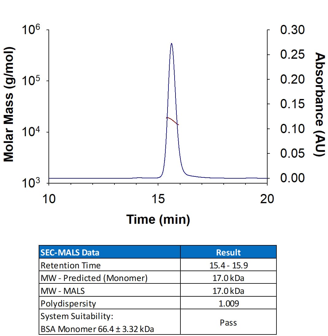 rhIL-1b, CF (1 MG)