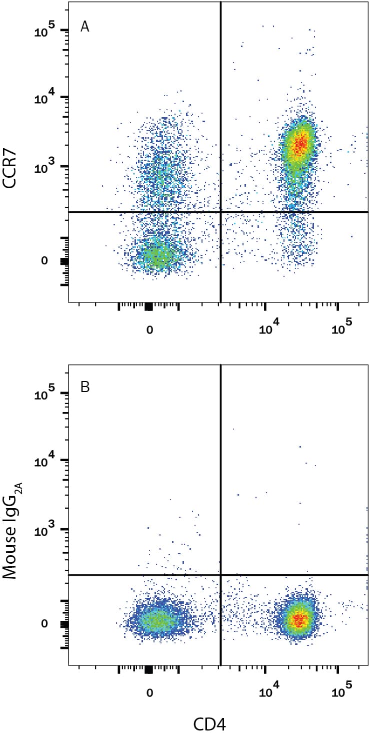 hCCR7 MAb (Cl 150503 (25 ug)