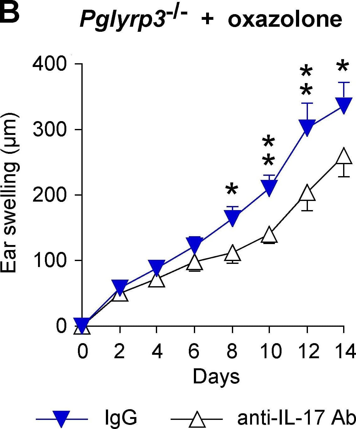 mIL-17 MAb (Cl 50104 (25 ug)