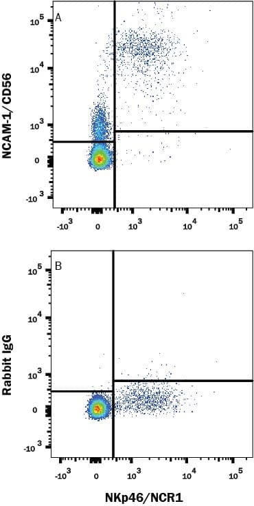 hNCAM-1 MAb Cl 2524 (25 UG)