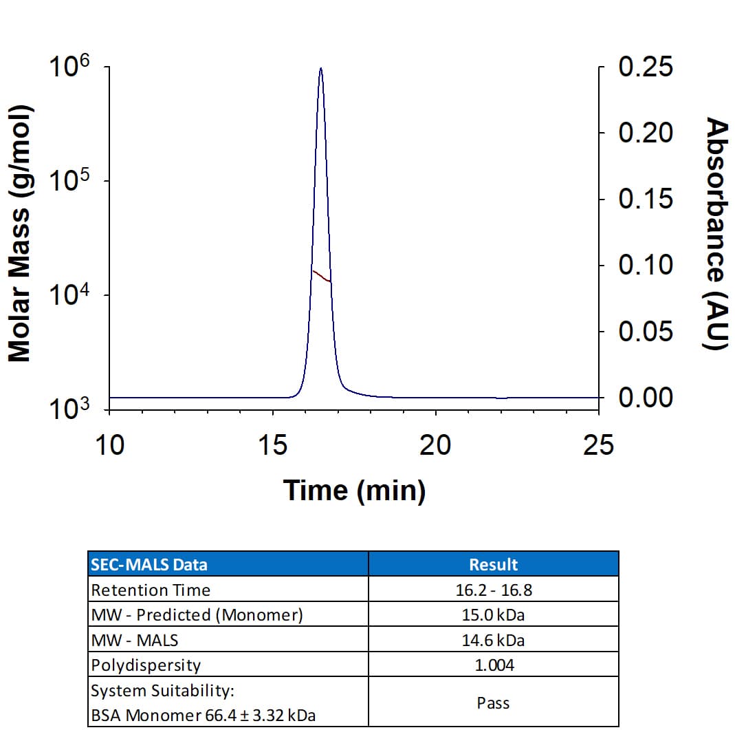 rhIL-3 (1 MG)